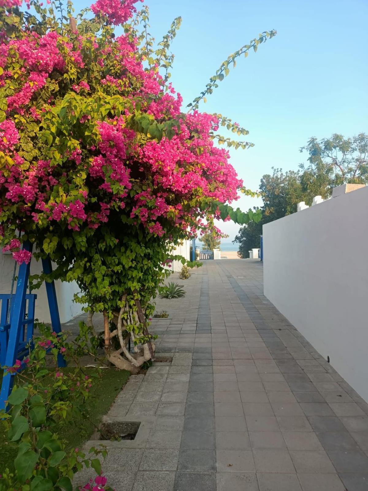 Al-Ashkhara Beach Resort منتجع شاطئ الأشخرة Al Sharqiyah ภายนอก รูปภาพ