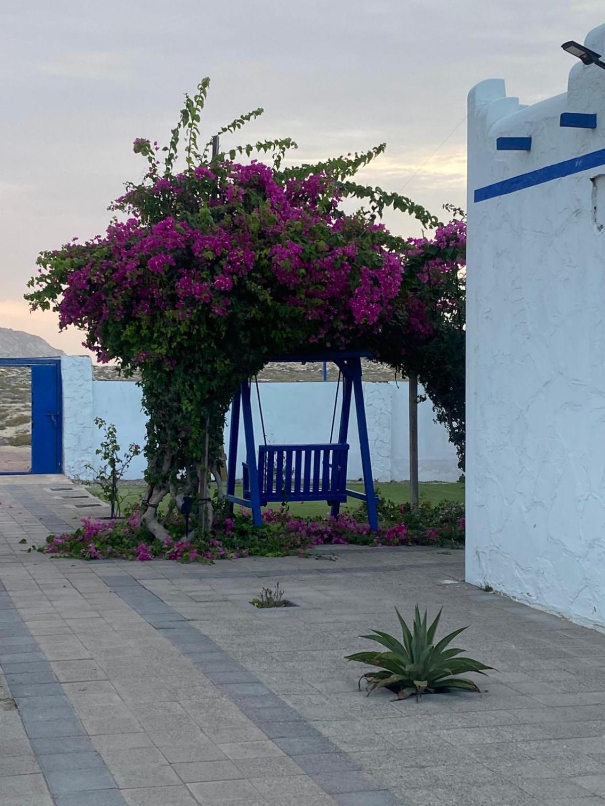Al-Ashkhara Beach Resort منتجع شاطئ الأشخرة Al Sharqiyah ภายนอก รูปภาพ