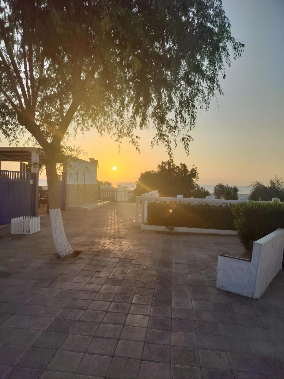 Al-Ashkhara Beach Resort منتجع شاطئ الأشخرة Al Sharqiyah ภายนอก รูปภาพ