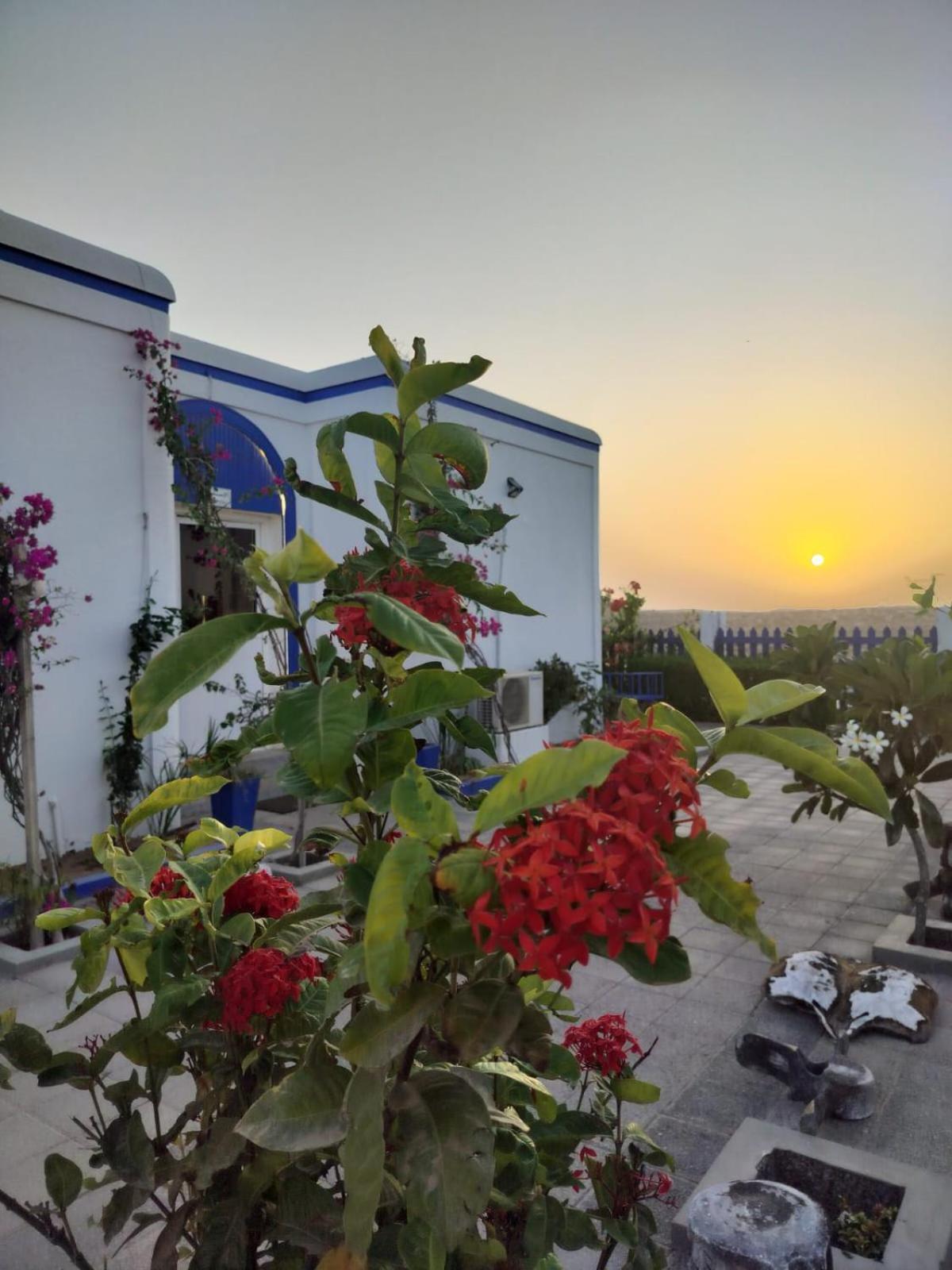 Al-Ashkhara Beach Resort منتجع شاطئ الأشخرة Al Sharqiyah ภายนอก รูปภาพ
