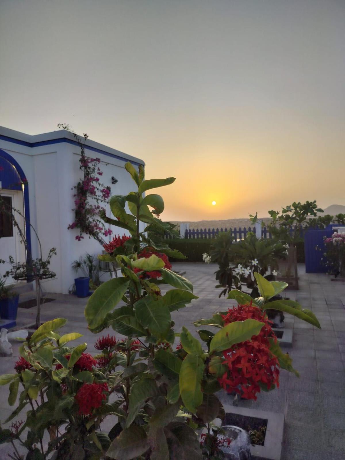 Al-Ashkhara Beach Resort منتجع شاطئ الأشخرة Al Sharqiyah ภายนอก รูปภาพ