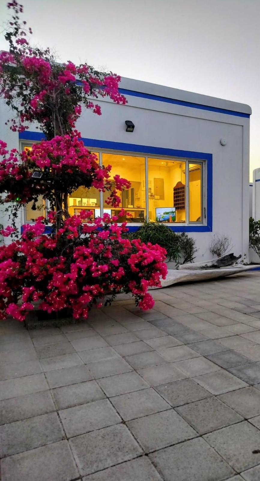 Al-Ashkhara Beach Resort منتجع شاطئ الأشخرة Al Sharqiyah ภายนอก รูปภาพ